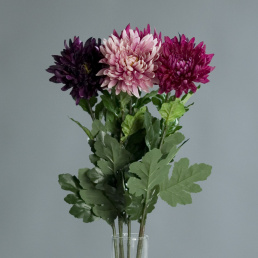Хризантема, цвет пурпурный-лавандовый-фуксия, 72 см, 42396-09