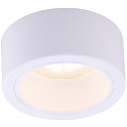 Arte Lamp Светильник потолочный накладной Effetto A5553PL-1WH