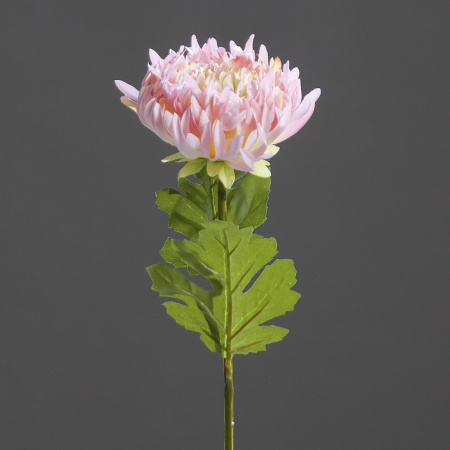 Хризантема (ветка), розово-зеленая, 50 см, 42690-37