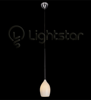 LightStar Светильник подвесной META D`OUVO 807110