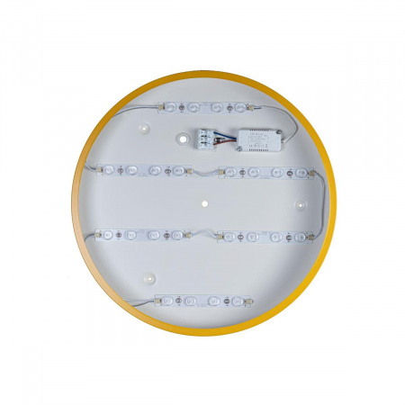 LOFT IT Светильник потолочный светодиодный Axel 10002/24 Yellow